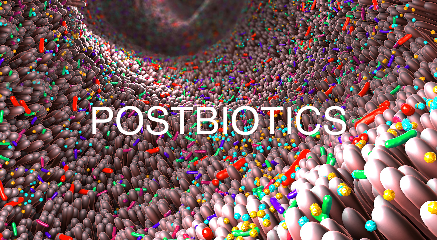 postbiotics & microbiome